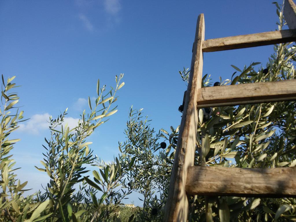 Cambiocavallo Resort Modica Eksteriør billede